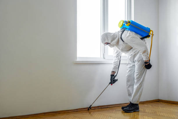 Best Flea Control Services  in Wetumpka, AL