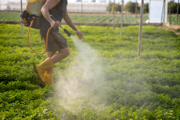 Best Pest Control for Homes  in Wetumpka, AL